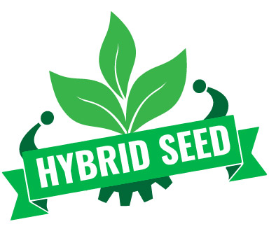 Hybrid Icon